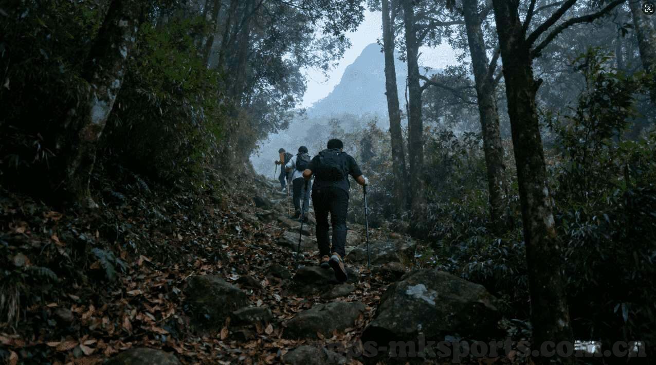 世界杯大赢家-世界杯大赢家，荣耀背后的故事